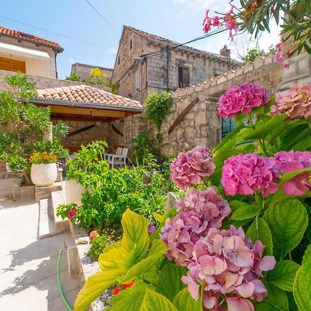 Apartman Andelina Old Town Cavtat Buitenkant foto