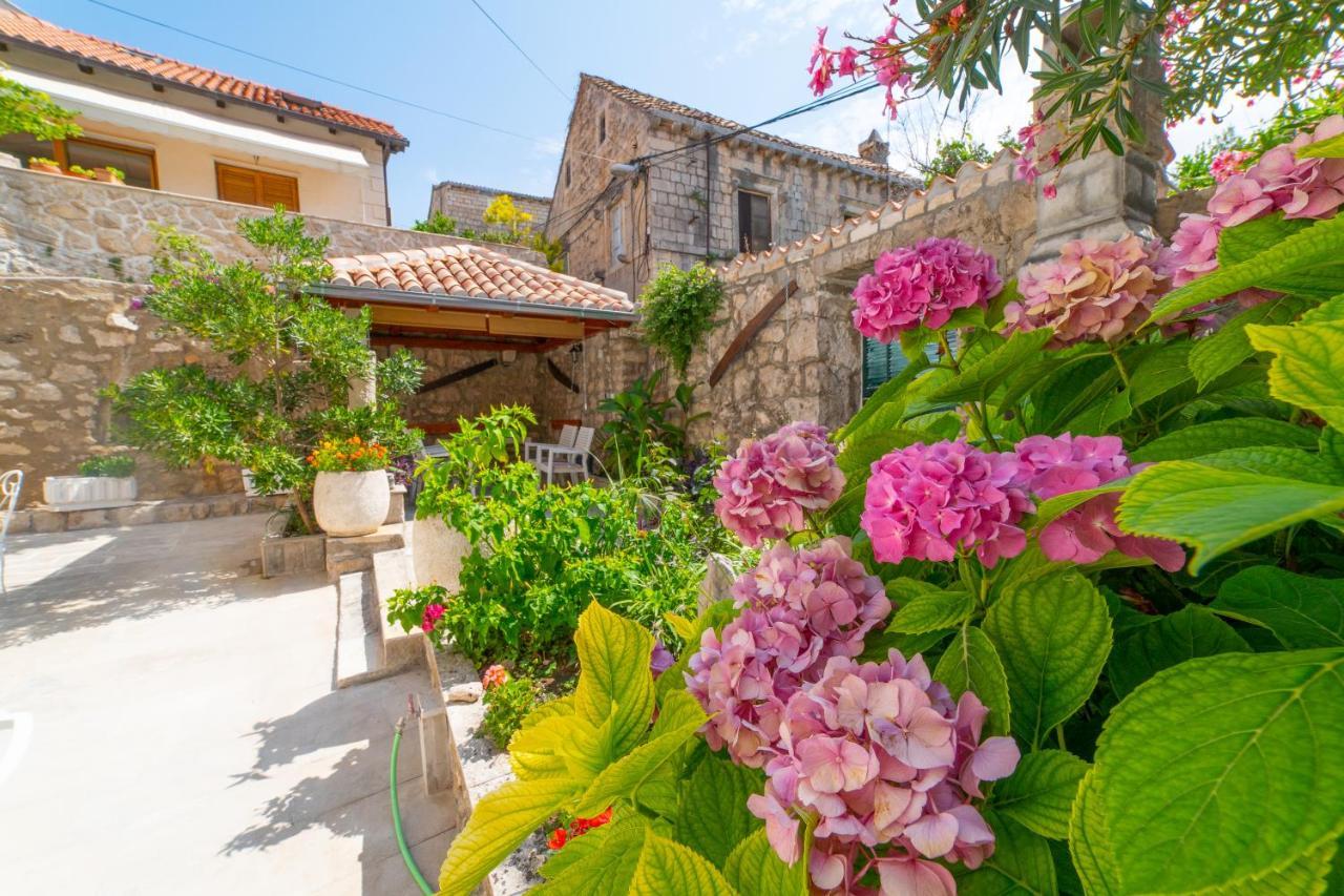 Apartman Andelina Old Town Cavtat Buitenkant foto